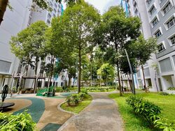 Blk 879B Tampines Greenforest (Tampines), HDB 4 Rooms #504246221